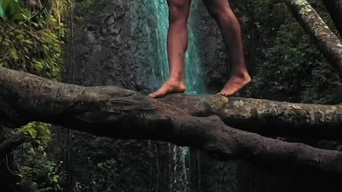 A woman in a swimsuit walks on a tree trunk