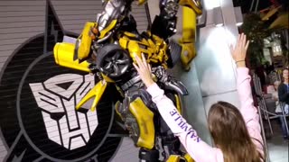 Bumblebee dances for me