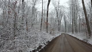 First Snowfall Of The Year