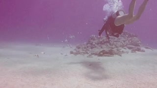 Diving around small reef in the middle of nowhere