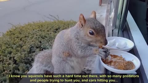 Squirrel talk :o)