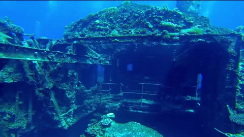 Chrisoula K Wreck Red Sea