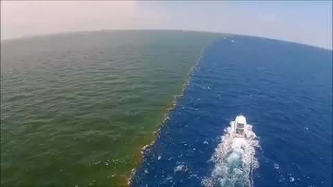 Two amazing sea
