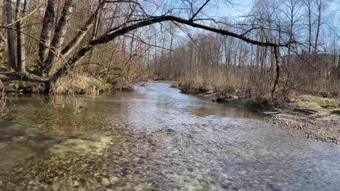 sitting in the middle of the river