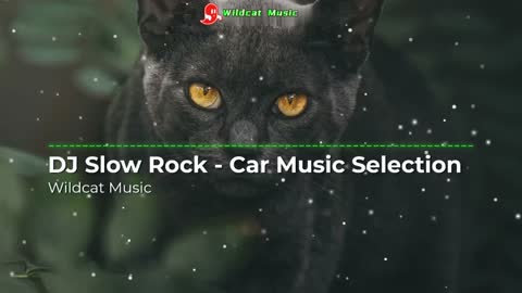 Best Car Music Collection