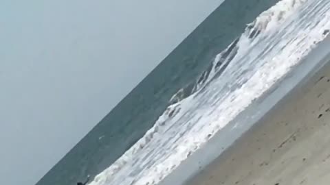 Guy on white surfboard gets blown over by wind