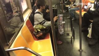 People on train holding large lizards