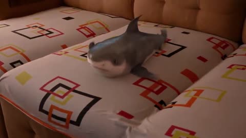 baby shark children's song