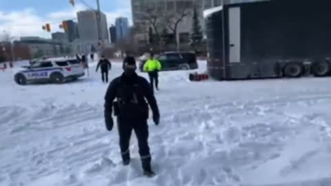 Ottawa Live Streamer Arrested Live