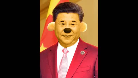 The supreme leader of China (Winnie the Pooh) needs your help