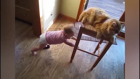 Baby play with cat and enjoy this play