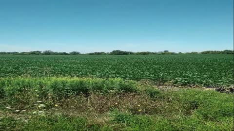 Video of fields