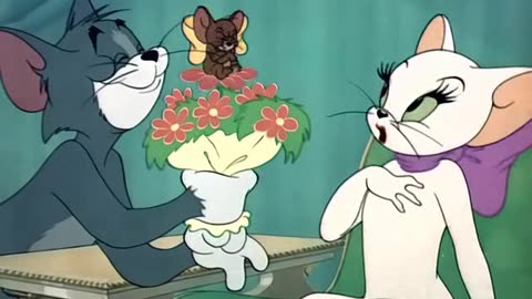 TOM N JERRY 055 Casanova Cat [1951]