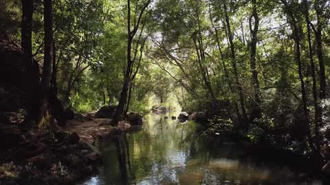 A complete picture of a riverbed