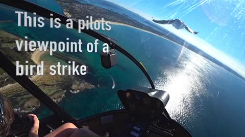 Pilots View of a Bird Strike in a Helicopter