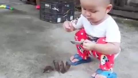 Tan chảy trái tim với clip em bé cho chim ăn: Ăn đi, đừng sợ gì chim nhé!