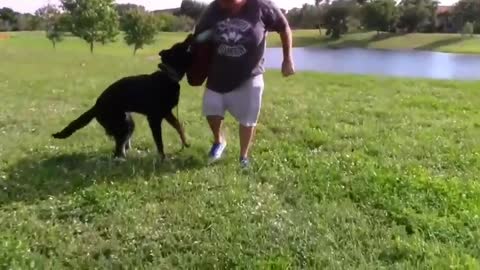 How To Make Dog Become Fully Aggressive With Few Simple Tricks
