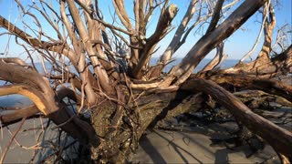 A SHORT SURFSKI TOUR OF THE GOLDEN ISLES