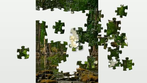 Puzzle. River in the dense forest.