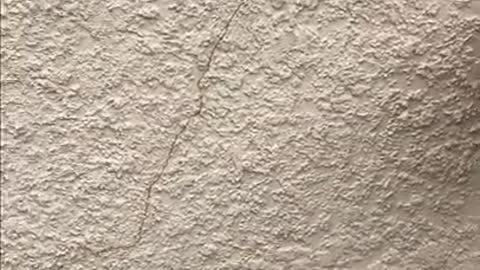 Stucco Wall Crack Repair