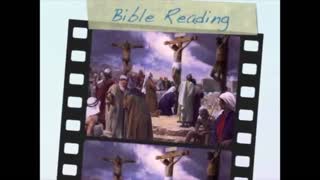 November 14th Bible Readings