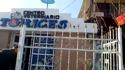 Capturan a adulto mayor que abusó sexualmente a perrita en Cartagena