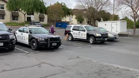 Police Vehicle Search NW3 Sonoma State University