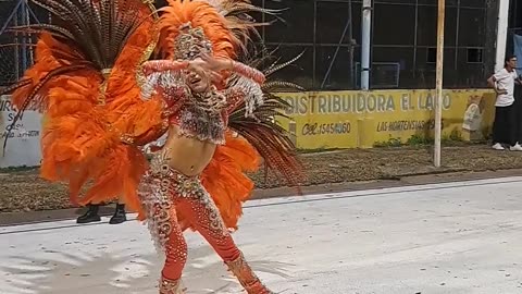 Carnaval 2024 Federacion Entre Rios Argentina 8 #shorts #carnaval #argentina #Samba