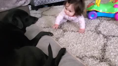 Baby looking for dog kisses