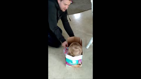 Toddler rides in box car