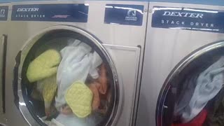 Its washing time