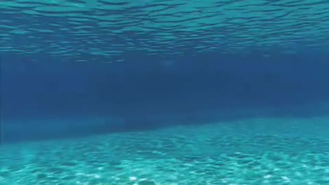 How beautiful is the ocean?