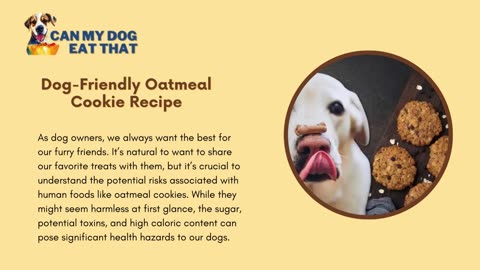 Can Dogs Eat Oatmeal Cookies | Can My Dog Eat That