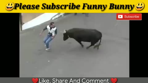 Just relax funny videos