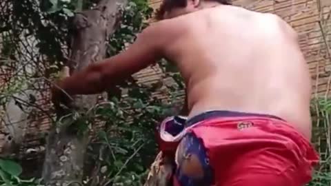 Hombre queda colgando del árbol