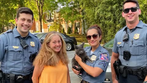 Maryland police officers help rescue disabled cat from storm drain