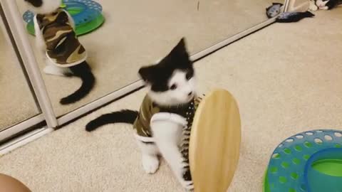 Caty Playing With Her Hair Brush