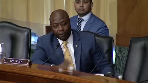 'Is There A Crisis At Our Border?' Tim Scott Has Tense Questioning Of Biden Border Chief Nominee