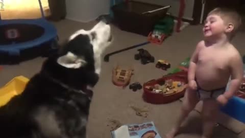 Baby and dog where playing and howling