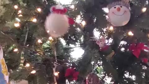 cat climbs all over decorated christmas tree - cat climbing christmas tree | christmas tree cat