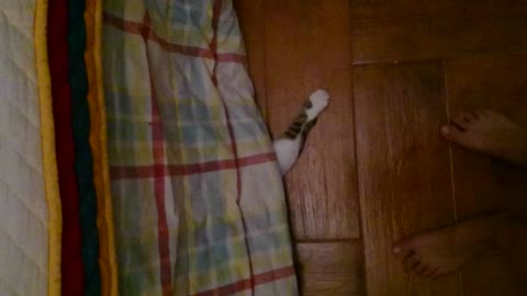Is there a monster under this bed?
