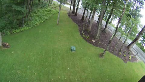 Bobcat caught on camera in yard