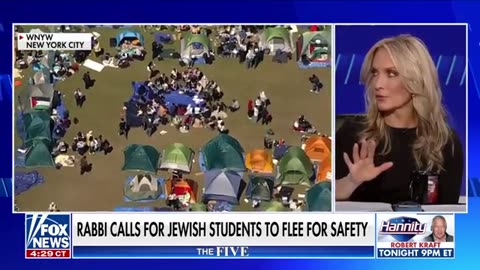 Anti-Israel protests on campuses didn't just happen overnight: Perino