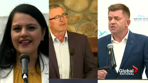 Race to become Alberta's next premier takes shape with crowded field