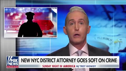 Gowdy: This is anti-democratic