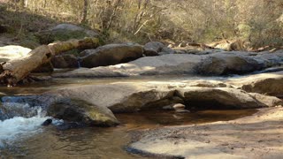 Rose Creek || Flowing Creek