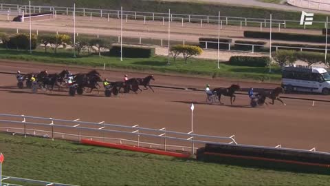 QUINTE PLUS Golden Bridge - Prix de la Côte d'Azur - Cagnes-sur-Mer - 14/01/2021