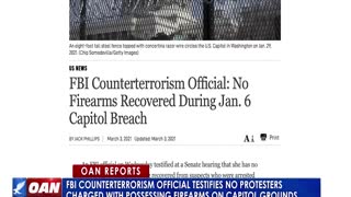 FBI official testifies no protesters charged with possessing firearms on Capitol grounds