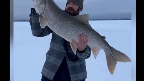 Monster Lake Trout