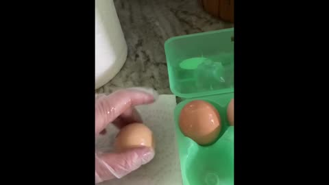 Keep Fresh Eggs Up to 1 Year!